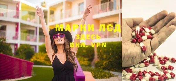 ГАЛЛЮЦИНОГЕННЫЕ ГРИБЫ Алексин