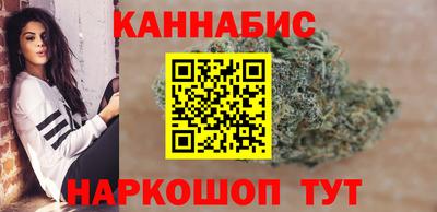 прущие грибы Усть-Илимск