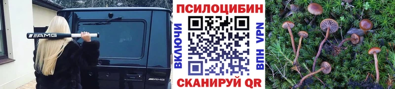 дарнет шоп  Пушкино  Галлюциногенные грибы мицелий 